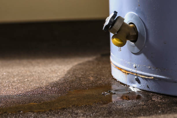 Best Professional water damage repair  in Kettle Falls, WA