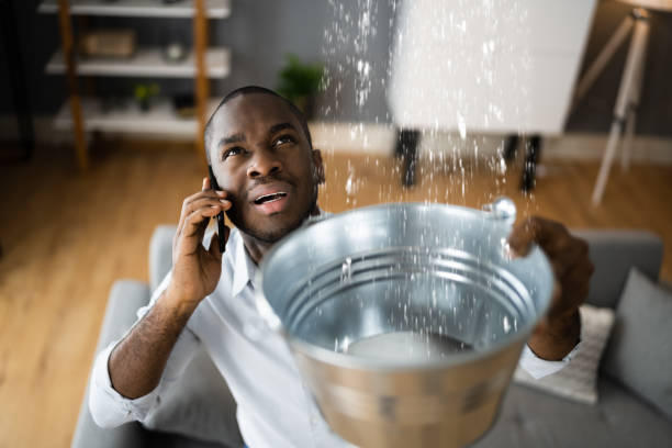 Best Water damage restoration mold remediation  in Kettle Falls, WA