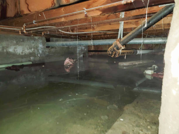 Best Flood restoration services  in Kettle Falls, WA