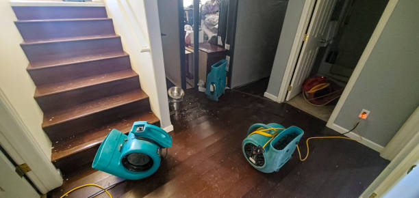 Professional Water damage restoration in WA