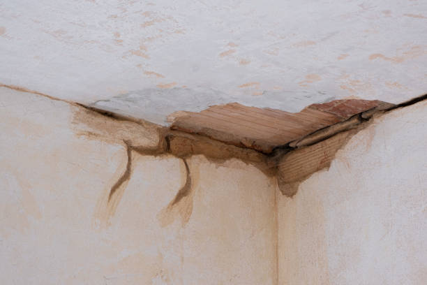 Best Basement water damage restoration  in Kettle Falls, WA