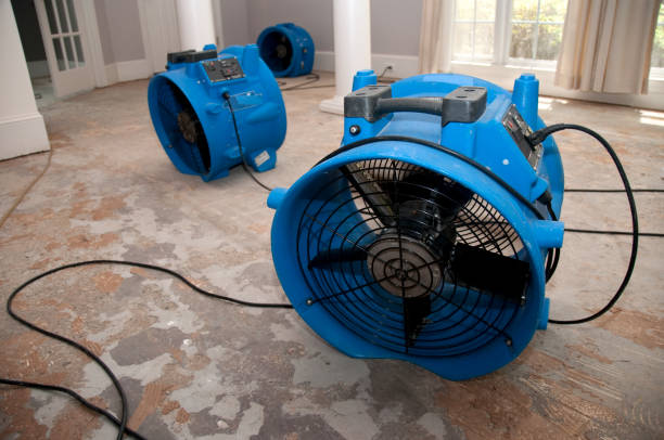 Best Emergency water damage restoration  in Kettle Falls, WA
