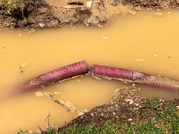 Best Water damage restoration near me  in Kettle Falls, WA